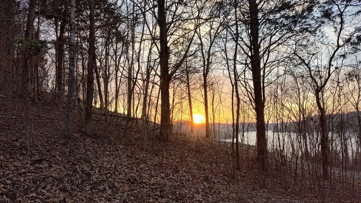 87 Harbor Pointe Dr, Silver Point, TN 38582 - Image #1