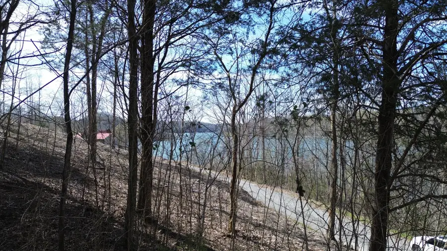 87 Harbor Pointe Dr, Silver Point, TN 38582 - Image #2