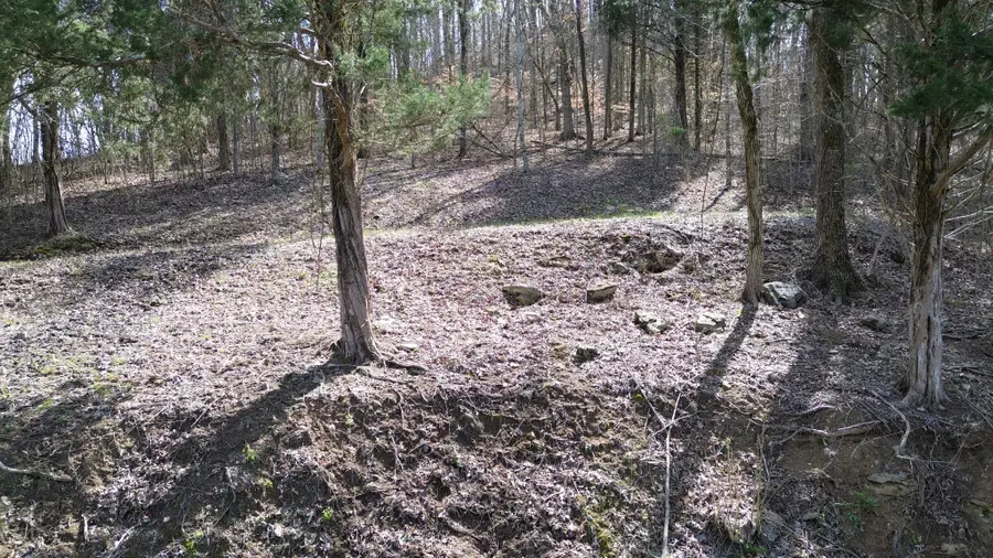 87 Harbor Pointe Dr, Silver Point, TN 38582 - Image #3