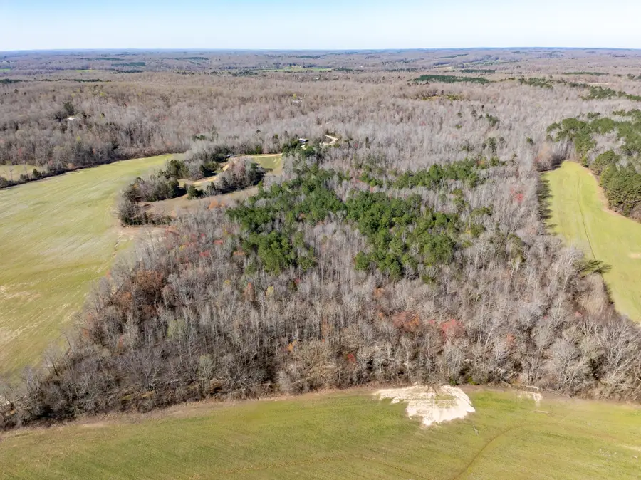 0 Chester Quinn Lane, Parsons, TN 38363 - #2