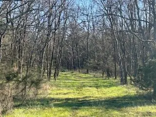 14907 Cainsville Rd, Lebanon, TN 37090 - Image #3