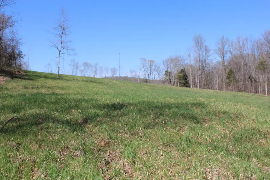 1 Grices Creek Rd, Cumberland City, TN 37050 - Image #2