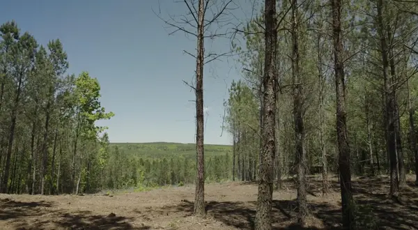 0 Worley Road, Soddy Daisy, TN 37379