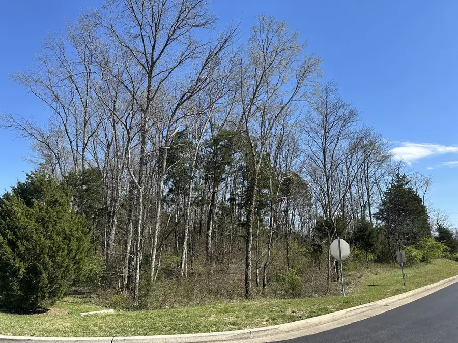 0 Wildcat Way, Lebanon, TN 37090 - Image #3
