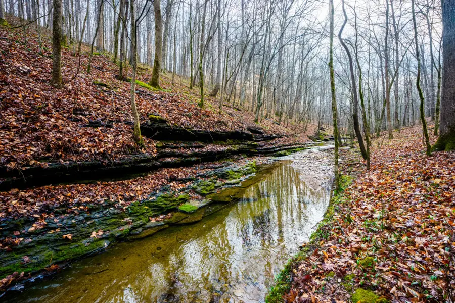 123 Frey St, Ashland City, TN 37015 - Image #3