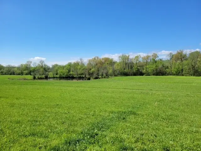 0 Glasgow Branch Rd, Hartsville Trousdale County, TN 37074 - Image #3