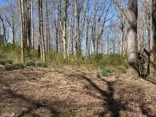 0 Cross Creek Rd N, Joelton, TN 37080 - Image #2