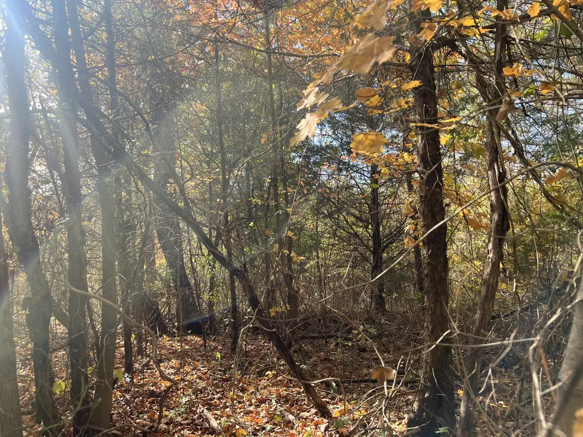 5 Clyde Webb, Tennessee Ridge, TN 37178 - Image #1