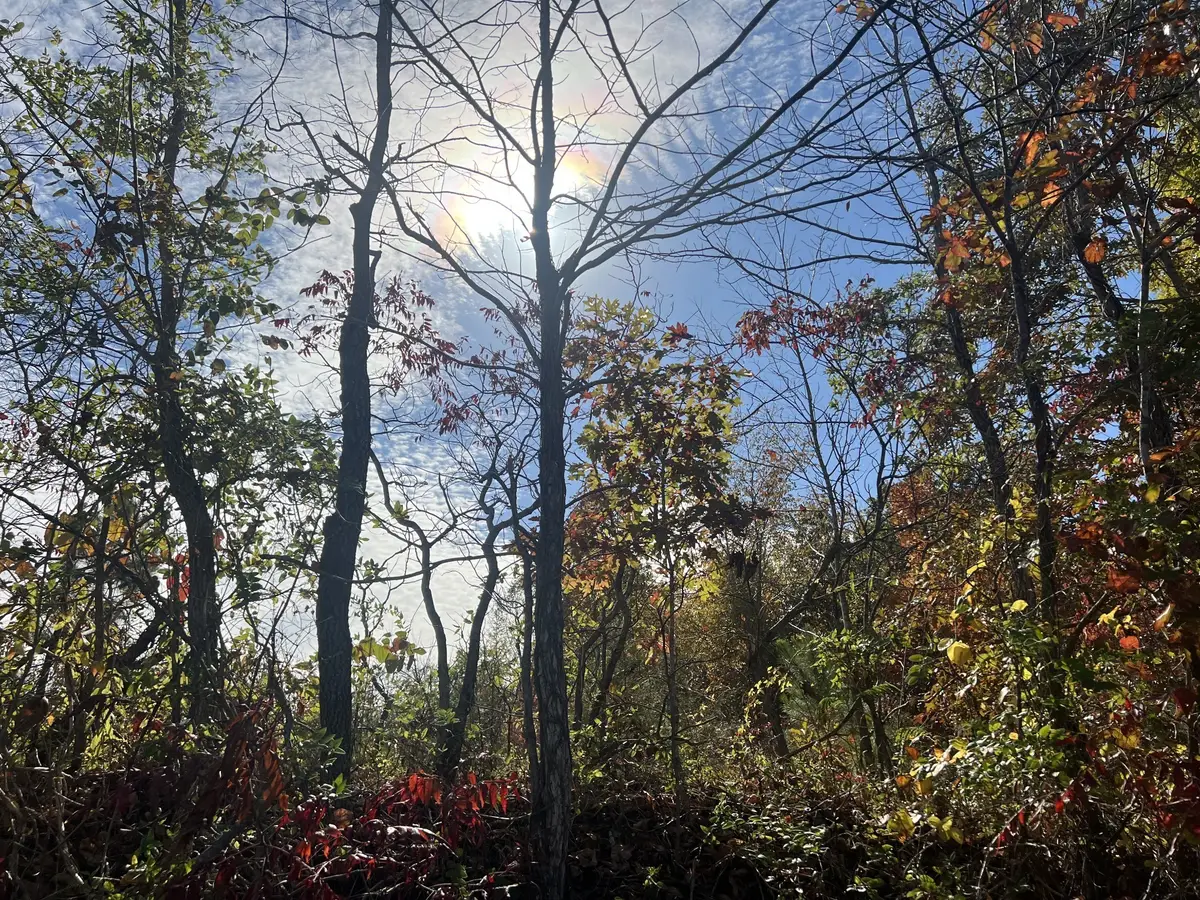 4 Clyde Webb, Tennessee Ridge, TN 37178 - Image #1