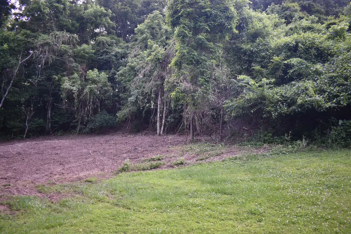0 Turkey Creek Hwy, Carthage, TN 37030 - Image #1