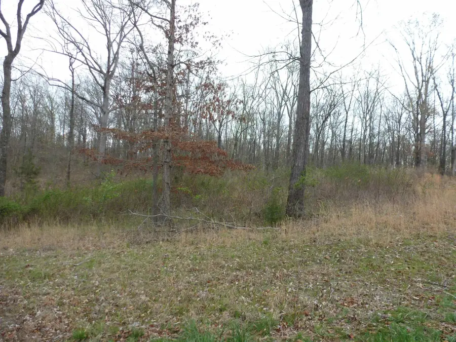 0 Stone Run, Killen, AL 35645 - #3