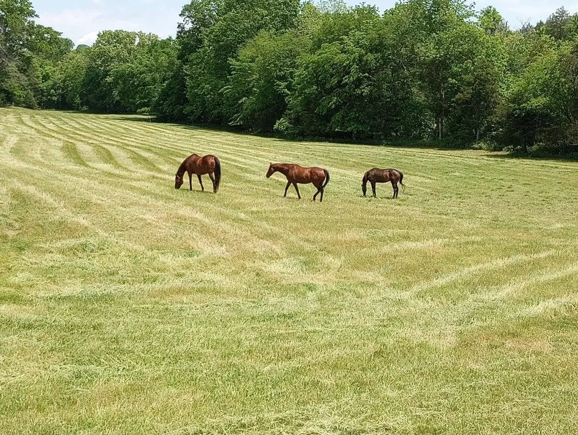 9786 Hartsville Pike, Lebanon, TN 37087 - #1