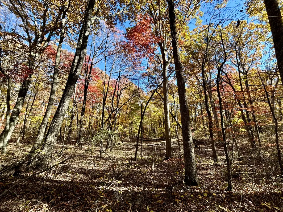 0 Harrison Ferry Rd, McMinnville, TN 37110 - #1