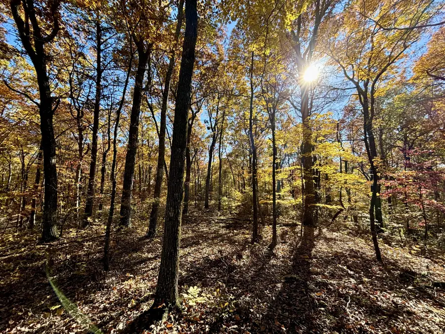 0 Harrison Ferry Rd, McMinnville, TN 37110 - #2