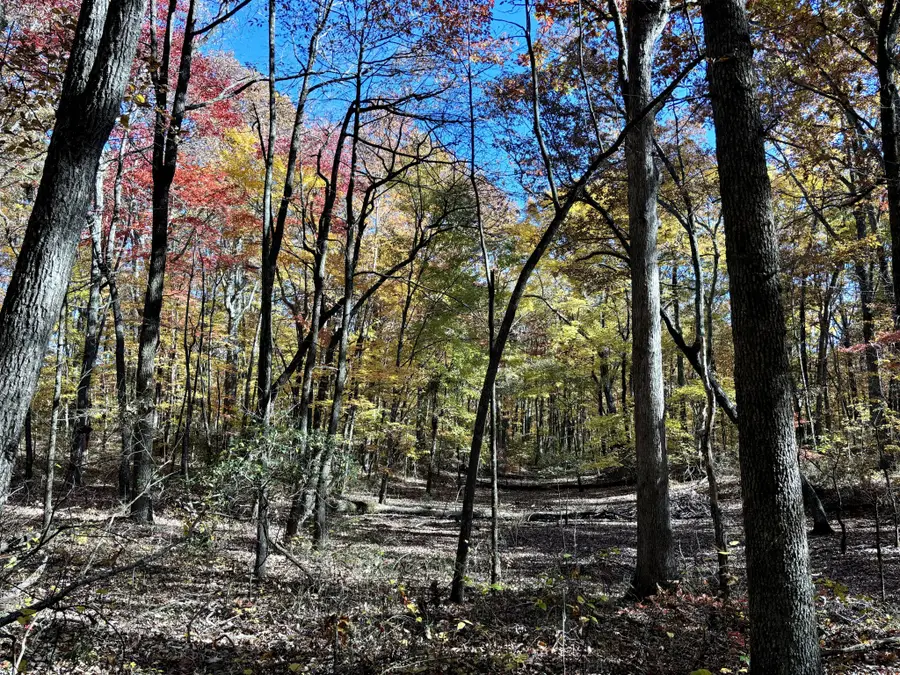 0 Harrison Ferry Rd, McMinnville, TN 37110 - #3