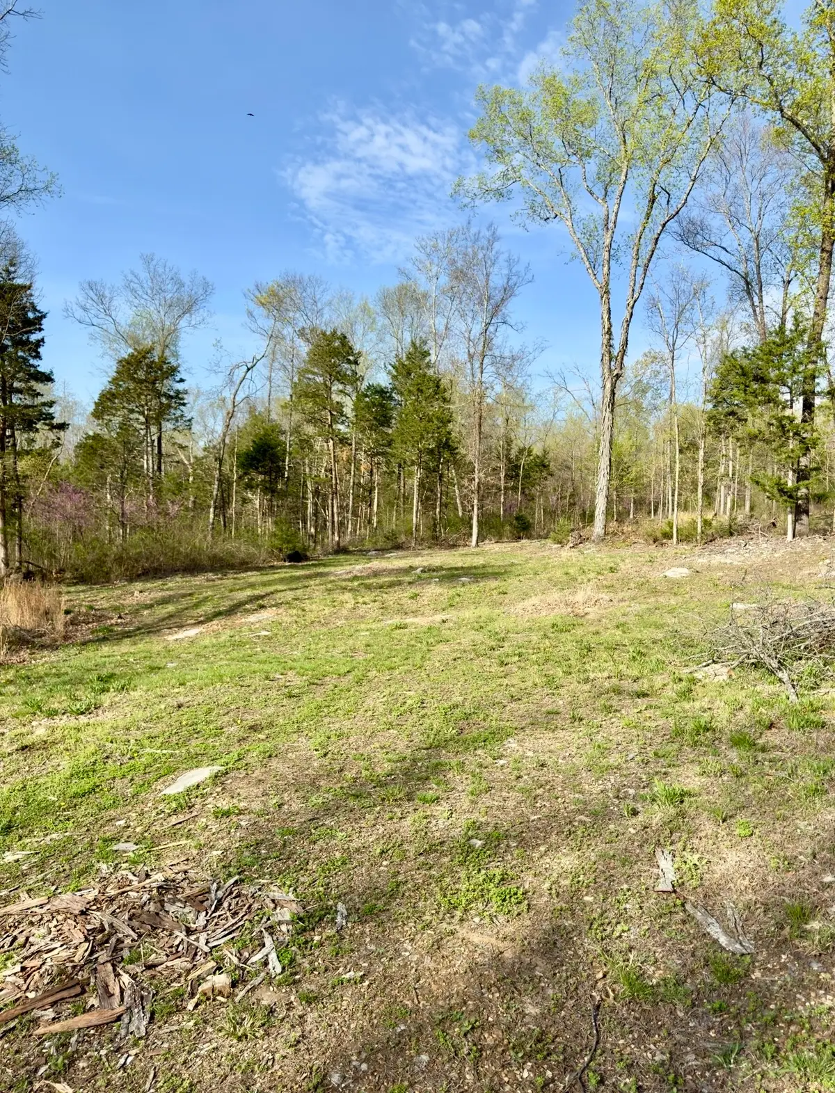 0 Buncombe Rd, Belvidere, TN 37306 - Image #1