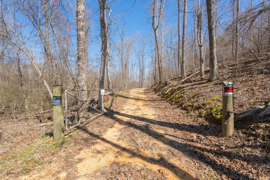 508 Lakeside Dr, Linden, TN 37096 - #3