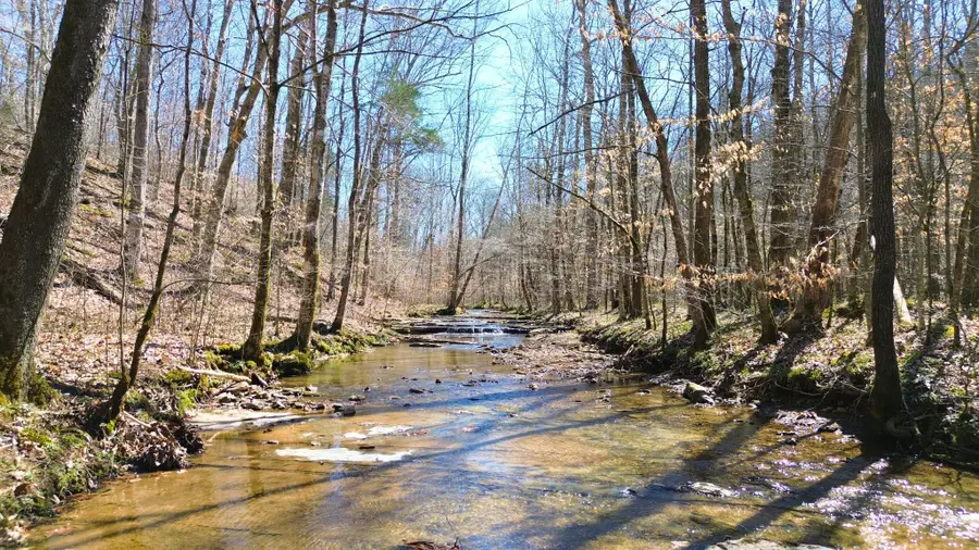 0 Lock A Rd, Charlotte, TN 37036 - Image #3