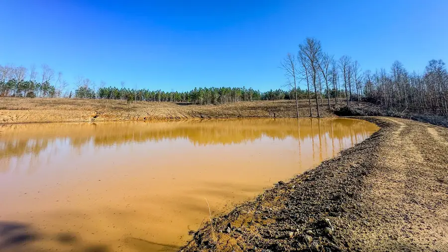 0 Jeanette Holladay Rd, Parsons, TN 38363 - Image #3