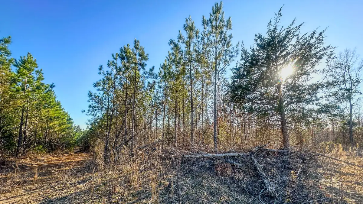 0 Jeanette Holladay Rd, Parsons, TN 38363 - Image #1