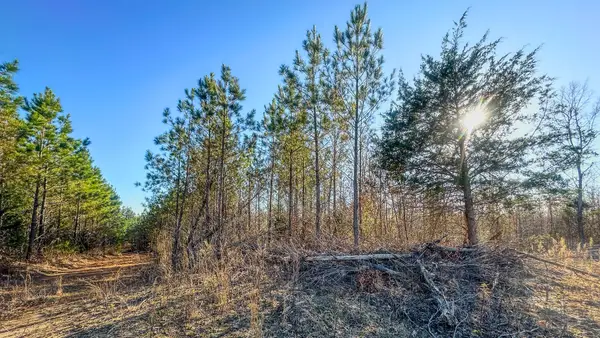 0 Jeanette Holladay Rd, Parsons, TN 38363