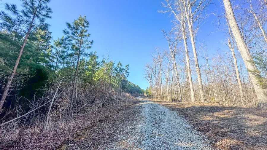 0 Jeanette Holladay Rd, Parsons, TN 38363 - Image #3