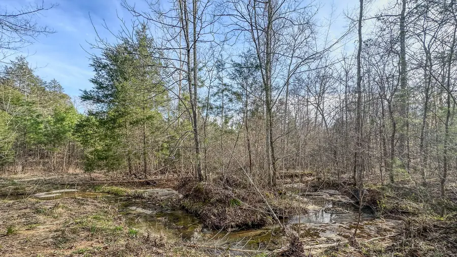 0 Jeanette Holladay Rd, Parsons, TN 38363 - Image #2