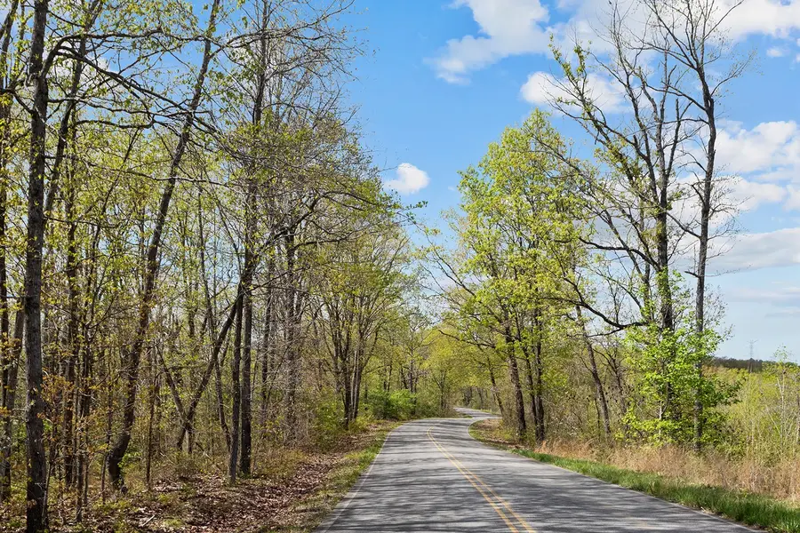 0 Nell Beard Rd, New Johnsonville, TN 37134 - Image #3