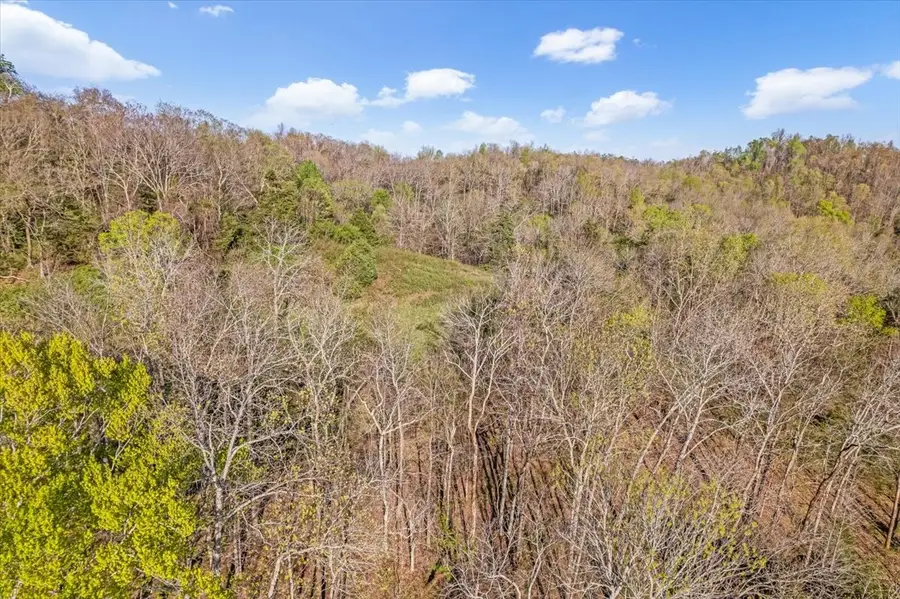 1624 Bartlett Hollow Rd, Petersburg, TN 37144 - Image #2