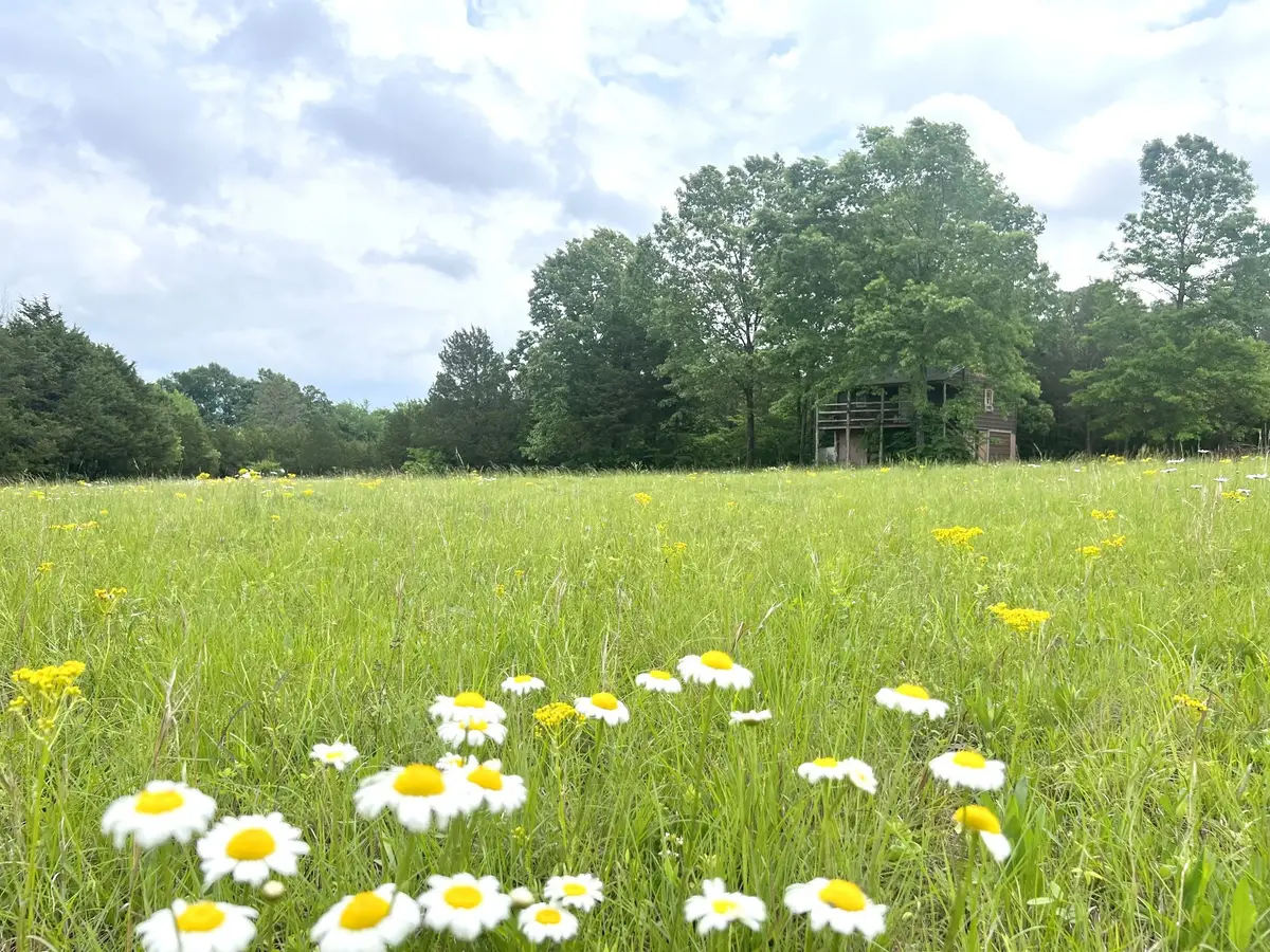 0 Manus Rd, Murfreesboro, TN 37127 - Image #1