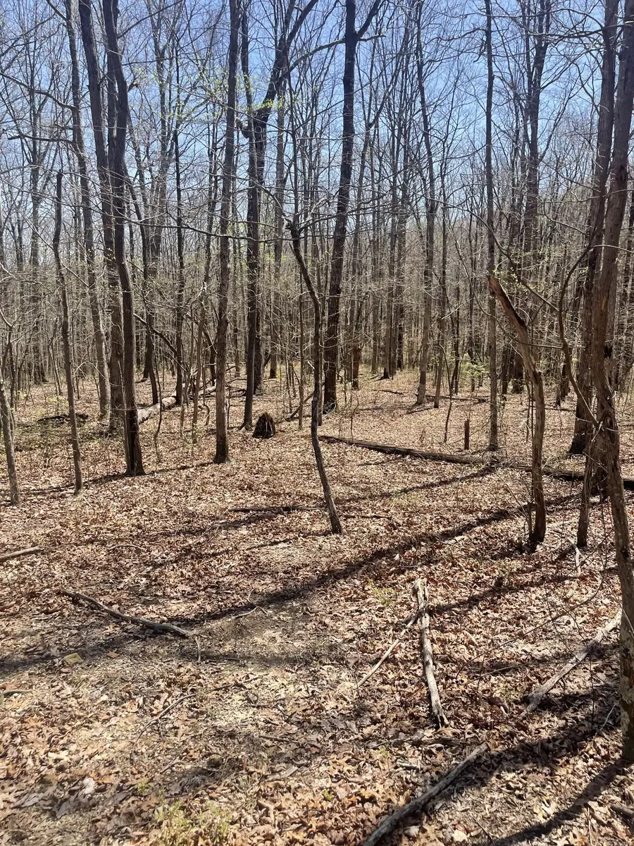0 Deep Woods Rd, Sewanee, TN 37375 - #3