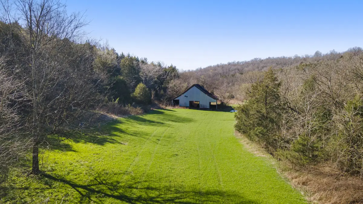 4250 Delina Rd, Cornersville, TN 37047 - Image #1