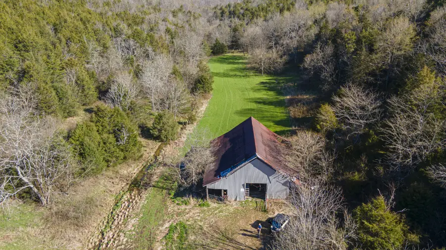 4250 Delina Rd, Cornersville, TN 37047 - Image #3