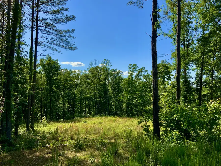 2340 Bear Hollow Drive, Waverly, TN 37185 - Image #2