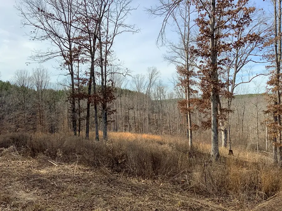 2340 Bear Hollow Drive, Waverly, TN 37185 - Image #3