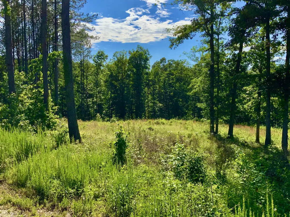 0 Bear Hollow Drive, Waverly, TN 37185 - Image #1