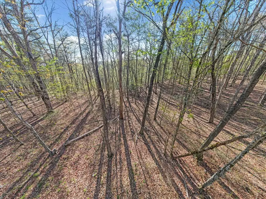 1 Seagroves Rd, Tracy City, TN 37387 - Image #2