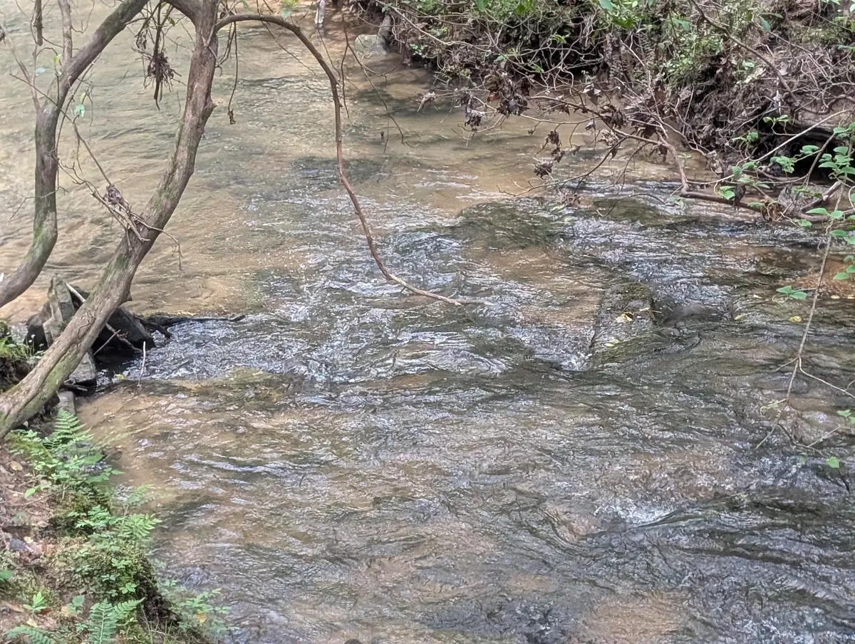 0 55th Ave East Of, Gruetli Laager, TN 37339 - Image #1