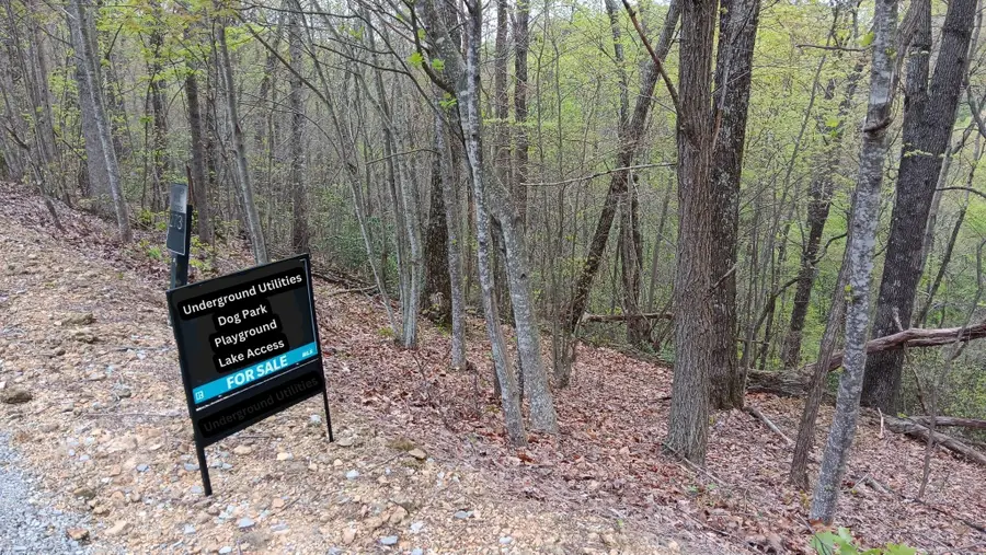 273 Tennis Center Drive, Smithville, TN 37166 - #3