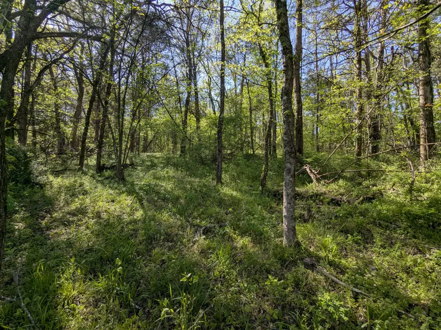 5 Old Stage Road, Ardmore, TN 38449 - Image #2