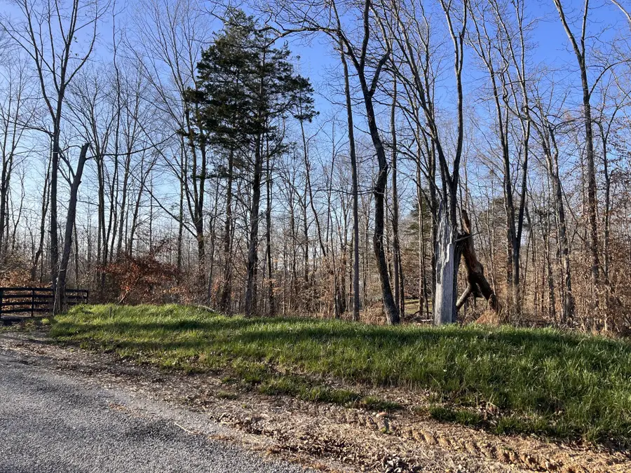 1 Water Ridge Dr, Sparta, TN 38583 - #3