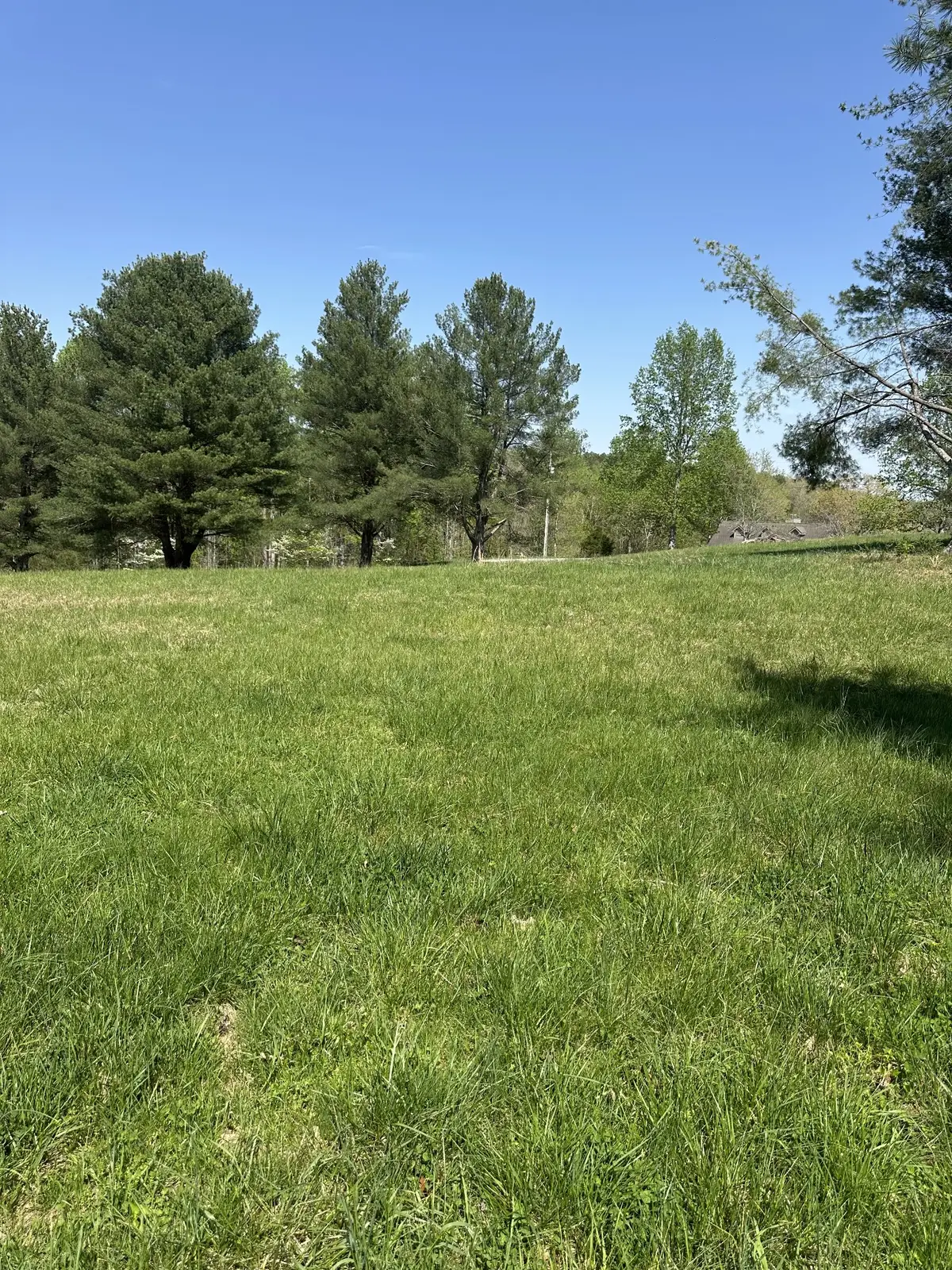 0 Fish Hook Dr, Smithville, TN 37166 - #1