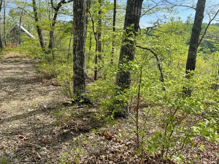 0 Hurricane Drive, Smithville, TN 37166 - #2