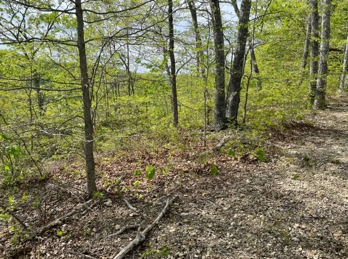 0 Hurricane Drive, Smithville, TN 37166 - #3