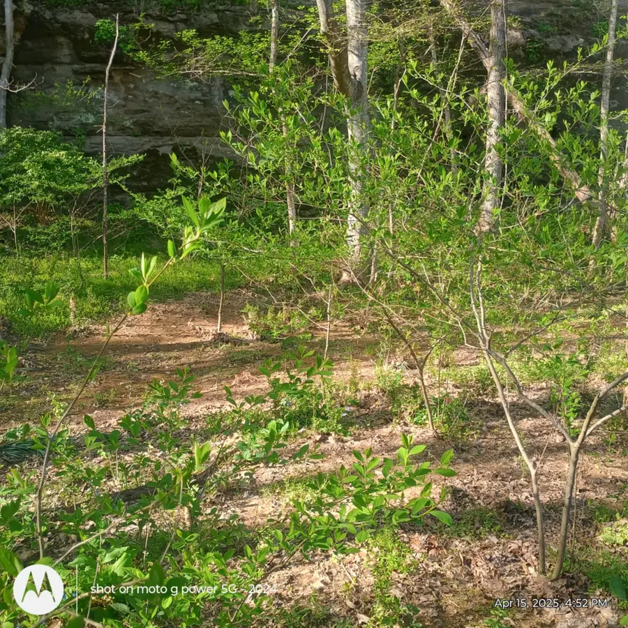 120 Donnelly Ln, Ashland City, TN 37015 - Image #3