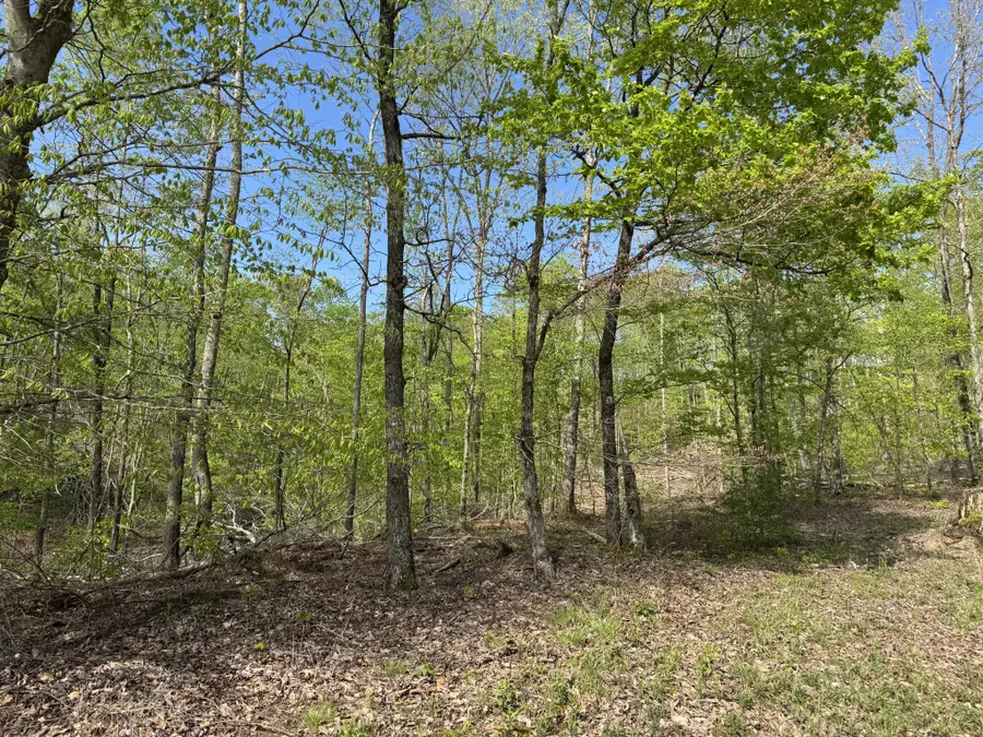 0 Waynesboro Hwy, Waynesboro, TN 38485 - #3