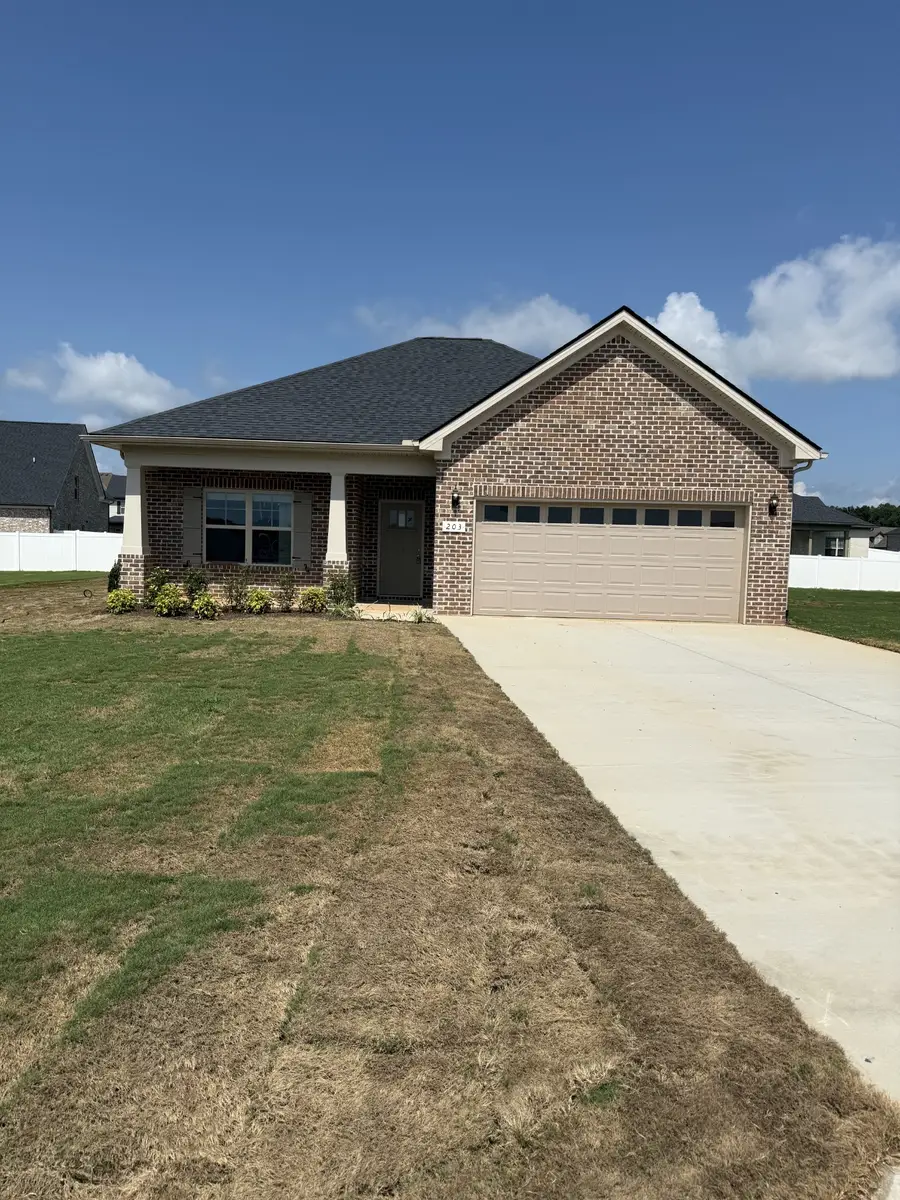 203 Streamflow Drive, Ashland City, TN 37015 - Image #2