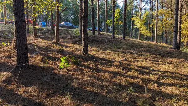 309 Summit Dr, Linden, TN 37096