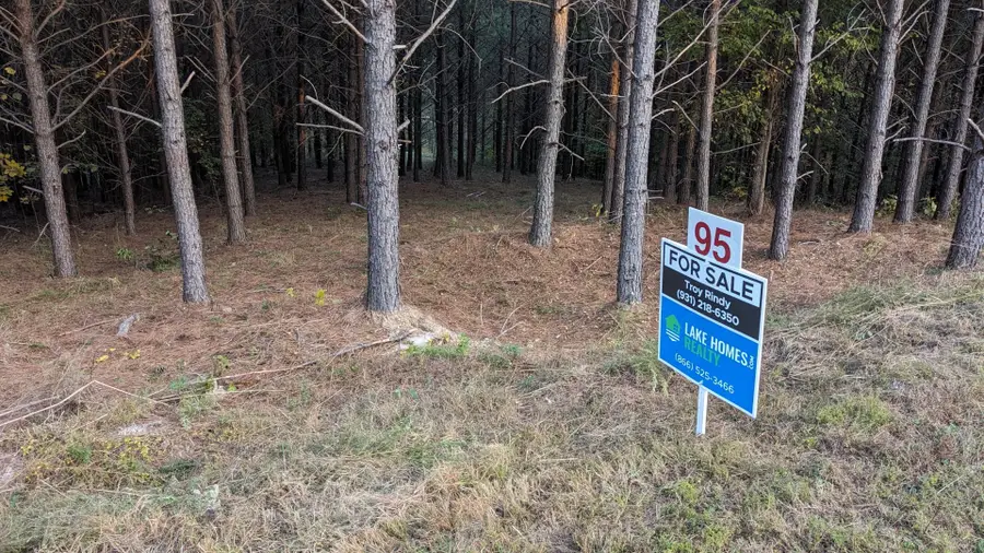 309 Summit Dr, Linden, TN 37096 - Image #3