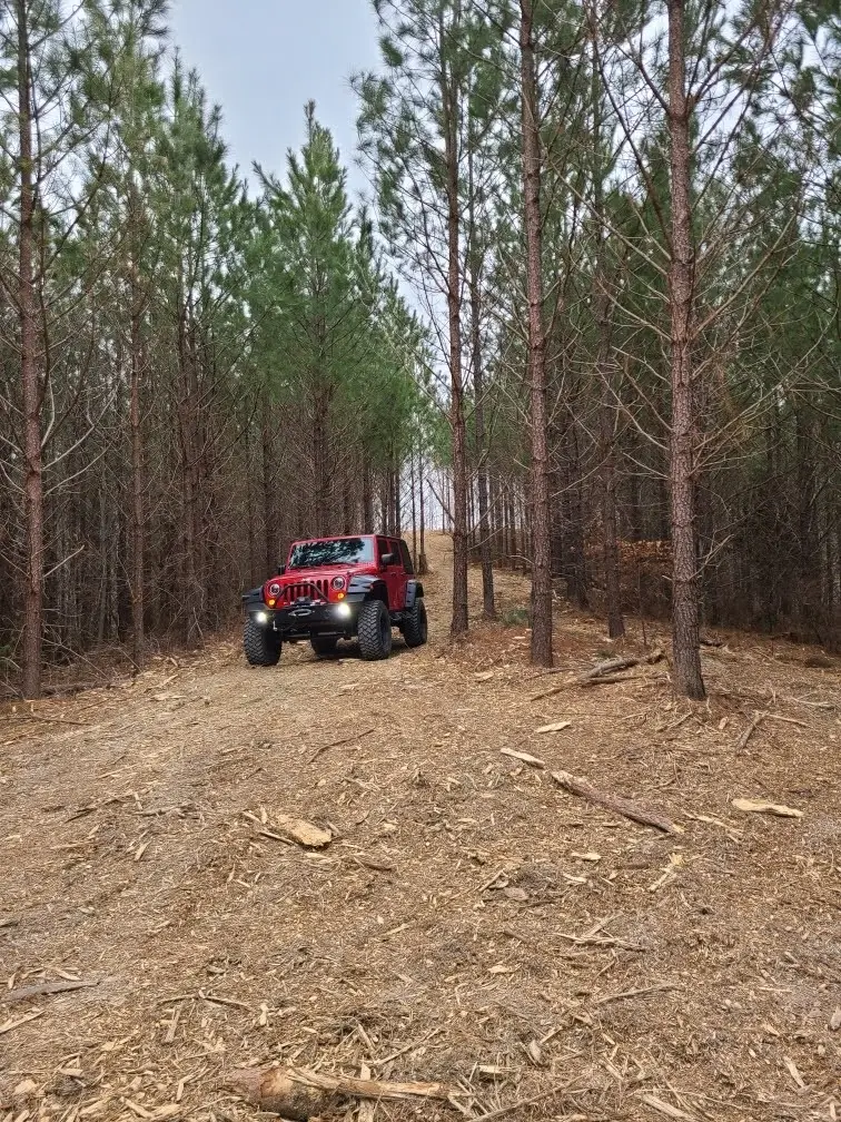 230 Juniper Dr, Linden, TN 37096 - Image #1